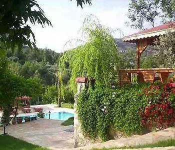 Hidden Garden